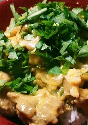 レンジで簡単親子丼-レシピのメイン写真