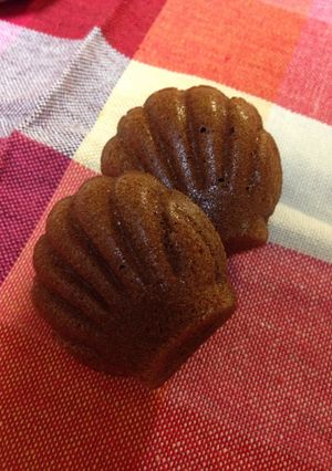 家族が絶賛のチョコマドレーヌ-レシピのメイン写真