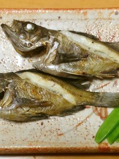 メバルの塩焼き-レシピのメイン写真