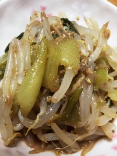 青梗菜のナムル-レシピのメイン写真