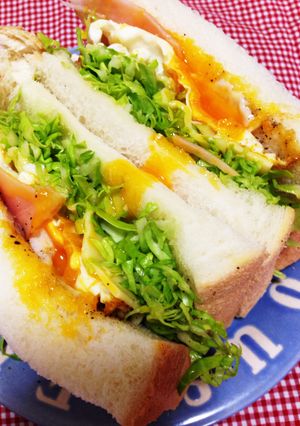 春キャベツと目玉焼きのサンドイッチ-レシピのメイン写真