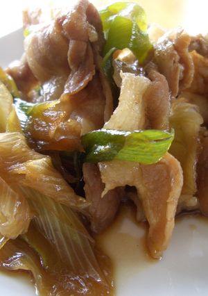 ご飯が進む♪豚肉とネギの甘辛炒め-レシピのメイン写真