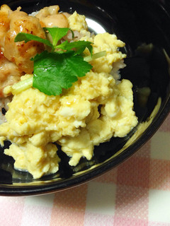 二色の親子丼-レシピのメイン写真