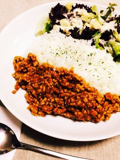 10分でも出来る!☆簡単キーマカレー-レシピのメイン写真