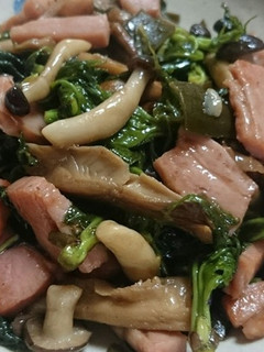 ハナイカダなど山菜、キノコ・肉の油炒め-レシピのメイン写真