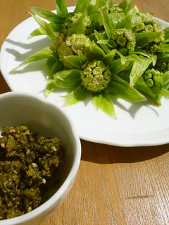 ふきのとう味噌-レシピのメイン写真