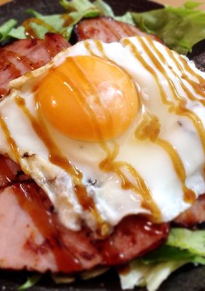 焼豚玉子飯もどき-レシピのメイン写真