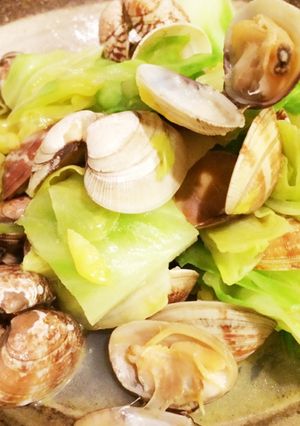 アサリとキャベツの酒蒸し-レシピのメイン写真