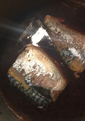 ルクルーゼでふっくら鯖の味噌煮-レシピのメイン写真