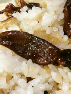 ほたるいかの炊き込みご飯-レシピのメイン写真