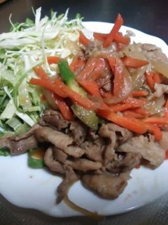 豚の生姜焼き〜覚え書き〜-レシピのメイン写真