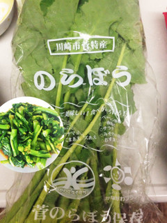 川崎市菅特産“のらぼう”のからし和え♪-レシピのメイン写真