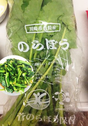 川崎市菅特産“のらぼう”のからし和え♪-レシピのメイン写真