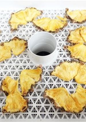 ドライフルーツメーカーでドライパイン-レシピのメイン写真