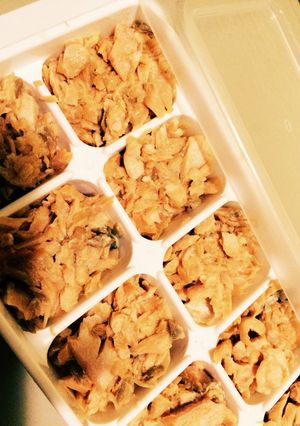 離乳食も♡ストック手作り鮭ほぐし!-レシピのメイン写真