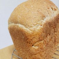 基本からアレンジまで！思わずつくりたくなる「パナソニック