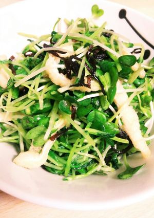 節約　簡単　豆苗と貝割れ菜のごま油和え-レシピのメイン写真