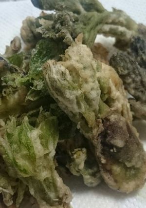 タラの芽、コシアブラ等、木の芽天ぷら-レシピのメイン写真
