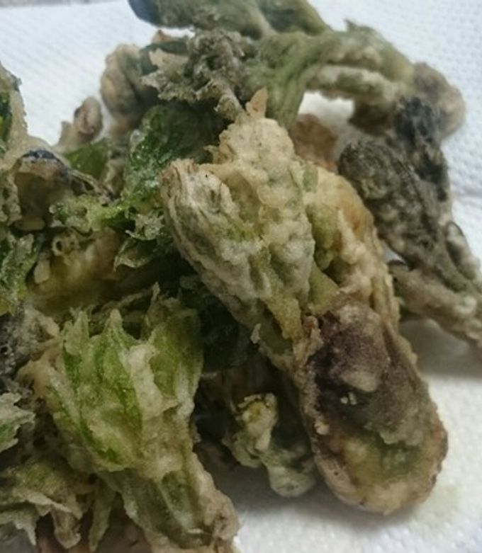 タラの芽、コシアブラ等、木の芽天ぷら by 福井のおじじ