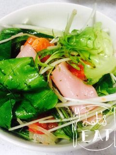 野菜いっぱい簡単マリネ(o^^o)-レシピのメイン写真