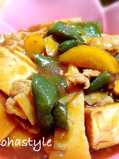 厚揚げとたけのこと豚肉のうま煮-レシピのメイン写真