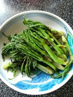タラの芽の塩きんぴら&醤油きんぴら-レシピのメイン写真