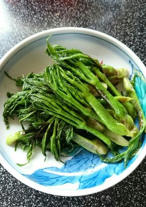 タラの芽の塩きんぴら&醤油きんぴら-レシピのメイン写真