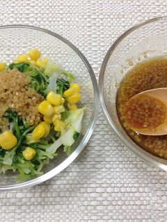 豆苗とキャベツの温野菜サラダ-レシピのメイン写真