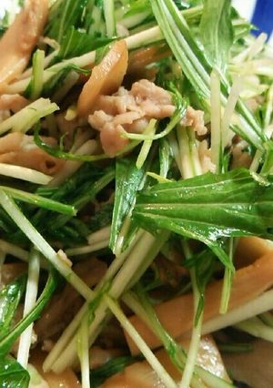 水菜と味つきメンマのおかずサラダ★-レシピのメイン写真