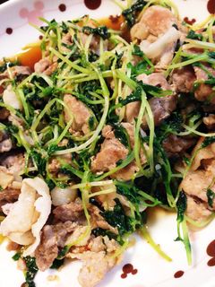 豚肉と豆苗の豆板醤炒め-レシピのメイン写真