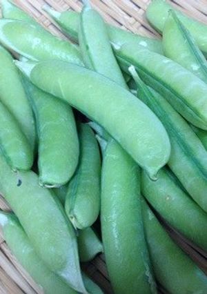 うすいえんどう豆のゆで方-レシピのメイン写真