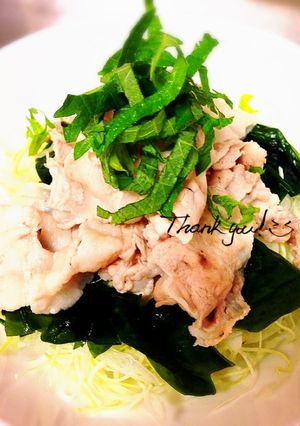 春の新物で簡単！豚しゃぶサラダ-レシピのメイン写真
