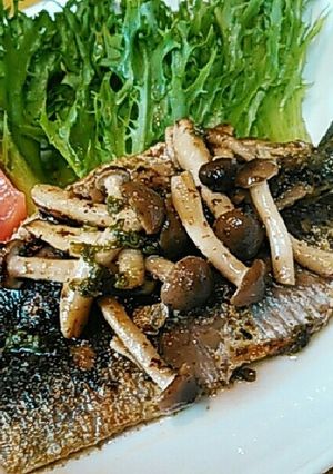 超簡単いわしのジュノベゼペースト焼き-レシピのメイン写真
