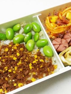 ふりかけで簡単そぼろ弁当-レシピのメイン写真