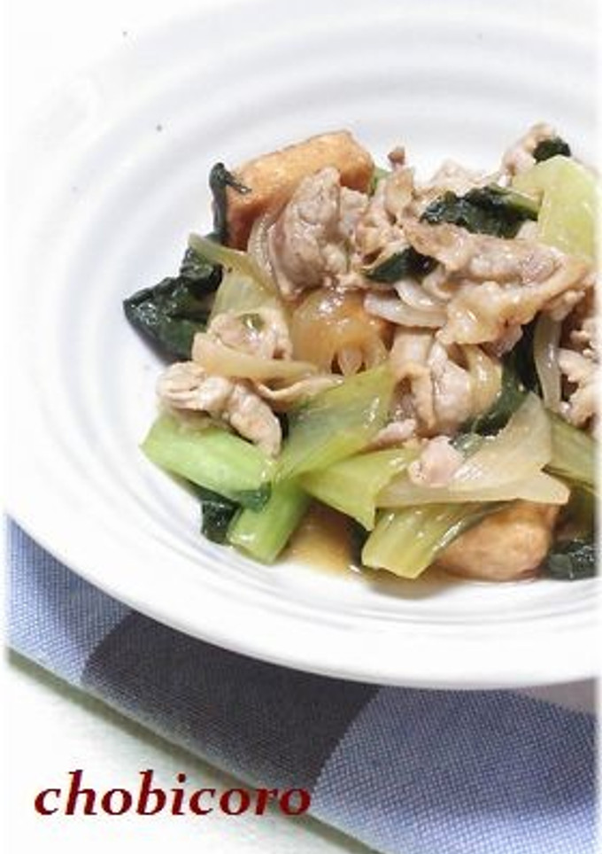 豚肉と厚揚げ・ささっと中華風な炒め物-レシピのメイン写真