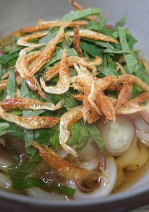 桜えびと大葉をたっぷりのせたおろしうどん-レシピのメイン写真