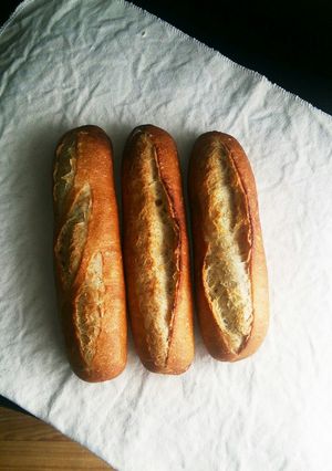 水68％長時間発酵なしフランスパン-レシピのメイン写真