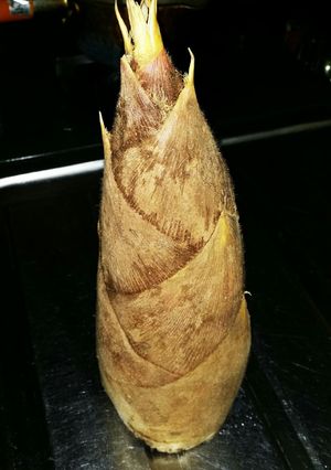 筍のゆで方-レシピのメイン写真
