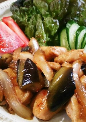 鶏胸肉となすのピリ辛炒め☆-レシピのメイン写真