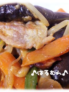 野菜たっぷり☆豚肉の本格味噌炒め-レシピのメイン写真