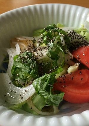 野菜たっぷりチアシードサラダ-レシピのメイン写真