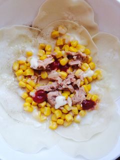 ギョーザの皮でピザ-レシピのメイン写真