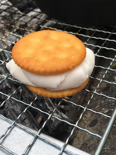 *BBQの〆に焼きマシュマロサンド*-レシピのメイン写真