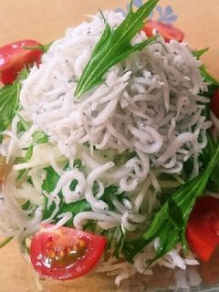 ヘルシ〜♪大根と水菜のしらすのっけサラダ-レシピのメイン写真