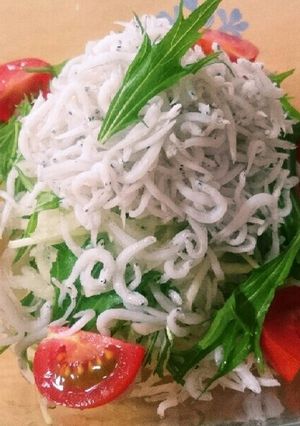 ヘルシ〜♪大根と水菜のしらすのっけサラダ-レシピのメイン写真