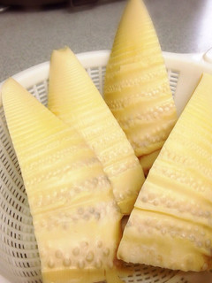 茹でタケノコ♪下処理*覚書き-レシピのメイン写真