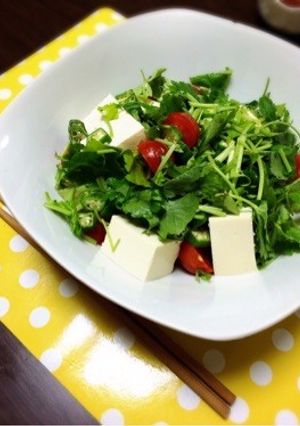 5分かからずできちゃう大人の豆腐サラダ-レシピのメイン写真