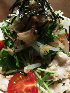 暑い日のモヤシと水菜の豚しゃぶサラダ♪♪-レシピのメイン写真