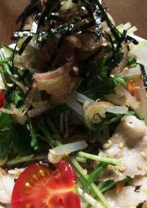 暑い日のモヤシと水菜の豚しゃぶサラダ♪♪-レシピのメイン写真