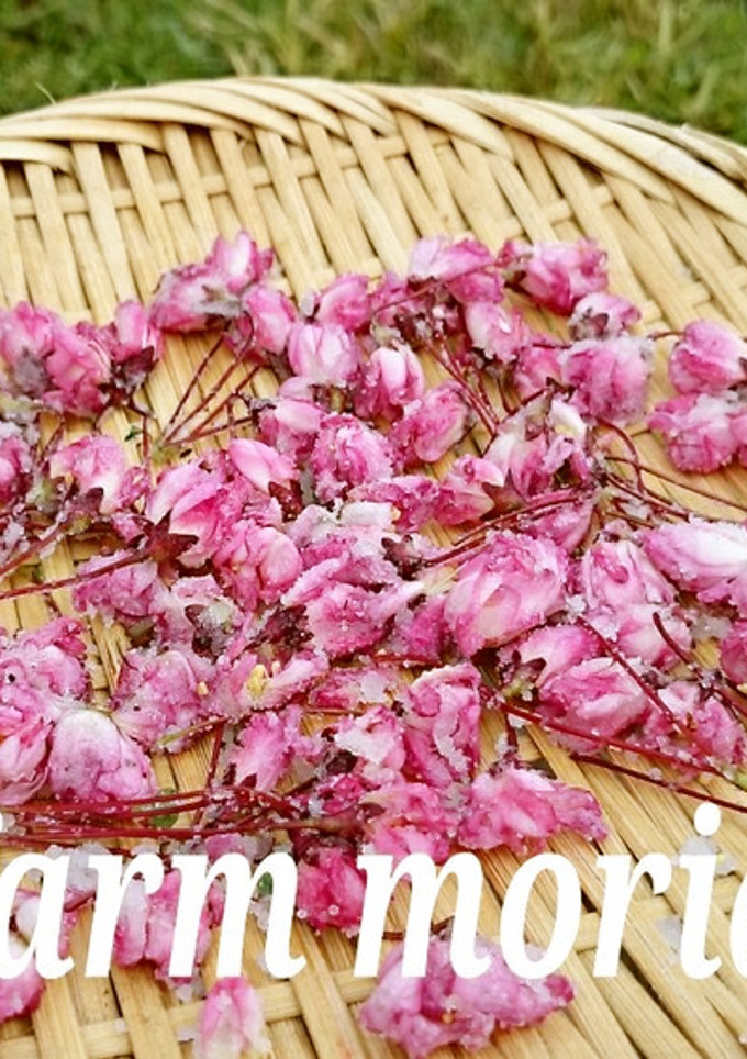 農園レシピ・さくらの花の塩漬けつくろ♪-レシピのメイン写真